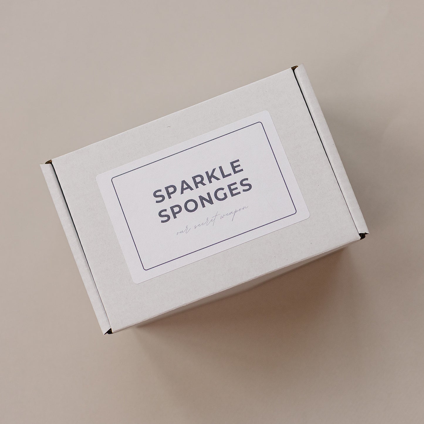 Sparkle Sponges 6-Pack