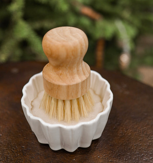 Sparkle Sink Side Soap Scrub Set