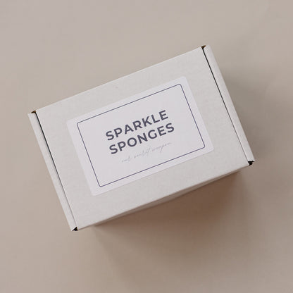 Sparkle Sponges 6-Pack