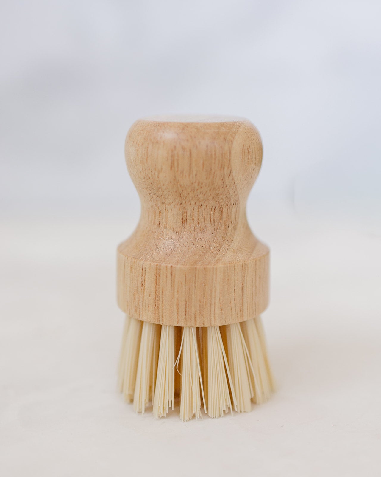 Sparkle Mini Cleaning Brush