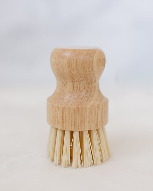 Sparkle Mini Cleaning Brush